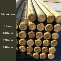 RONDIN PIN NORD CL4 VERT DIAM 120 FRAISES 2 EXTREMITES